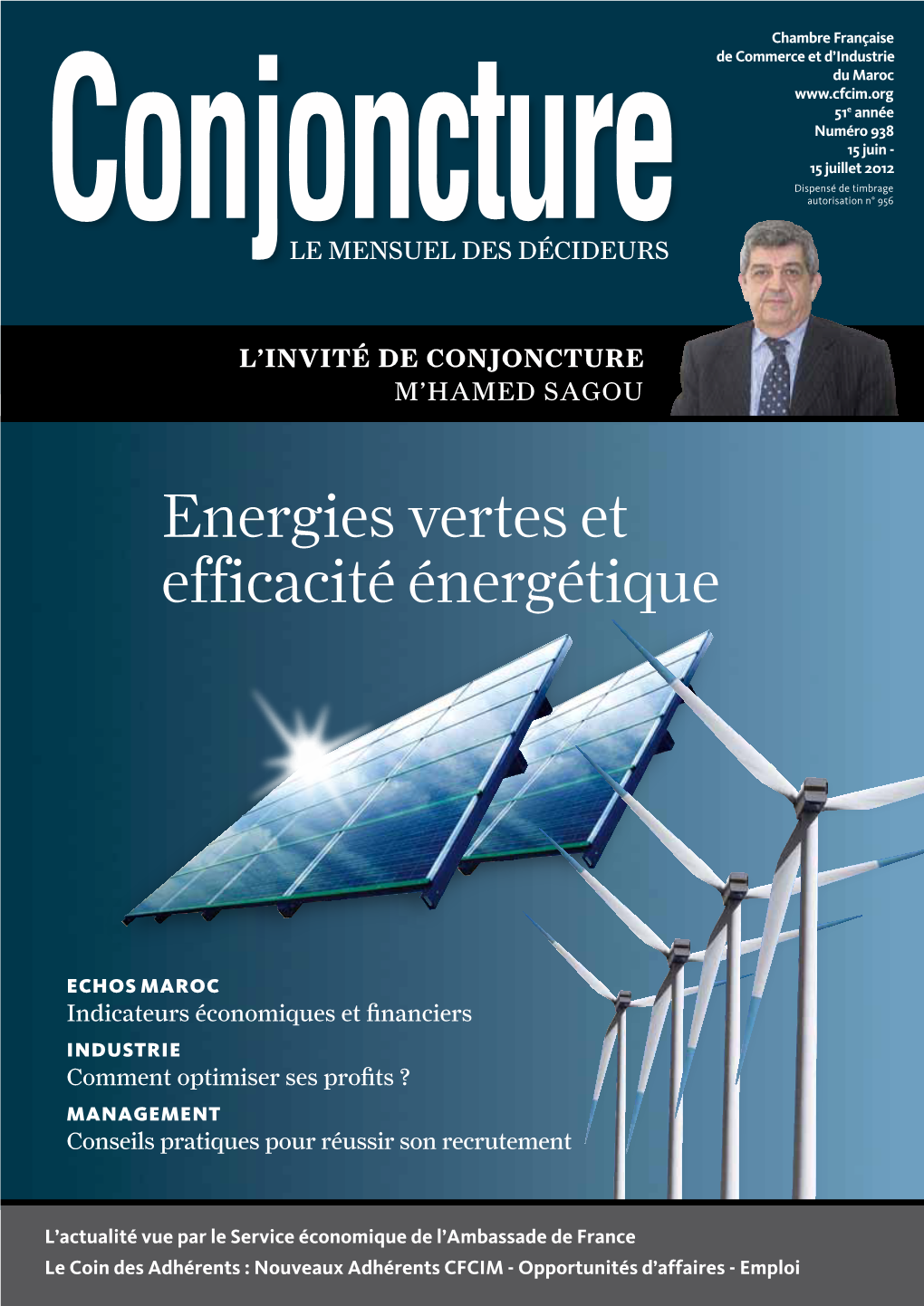 Energies Vertes Et Efficacité Énergétique