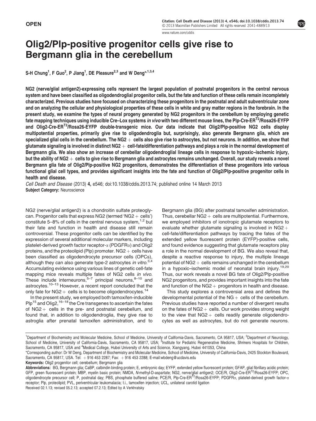 Plp-Positive Progenitor Cells Give Rise to Bergmann Glia in the Cerebellum