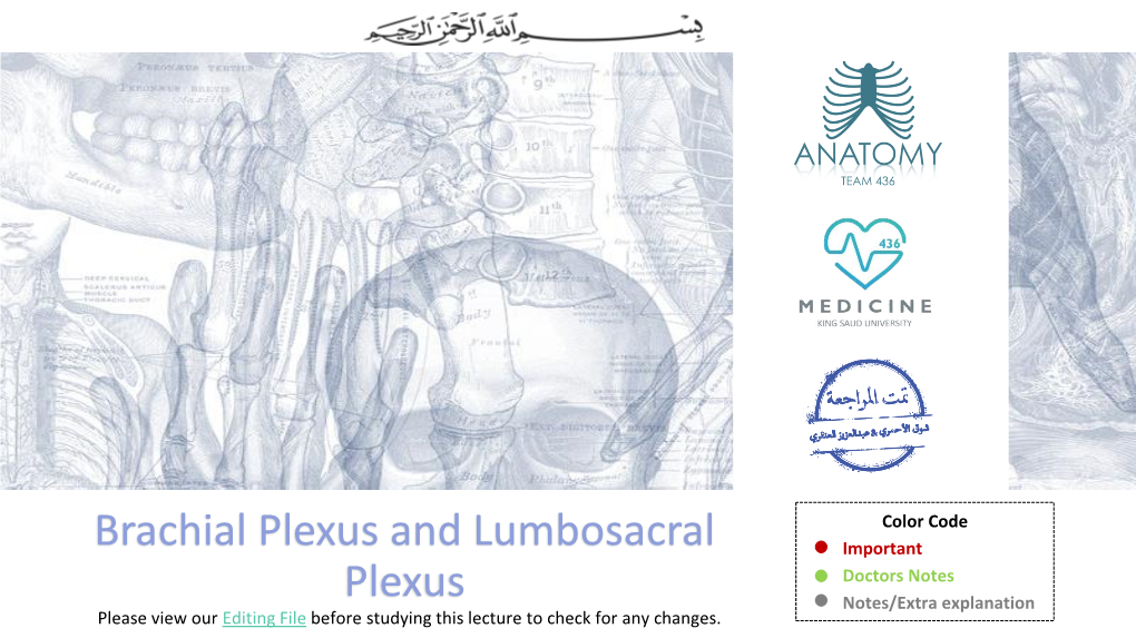 4-Brachial Plexus and Lumbosacral Plexus (Edited).Pdf