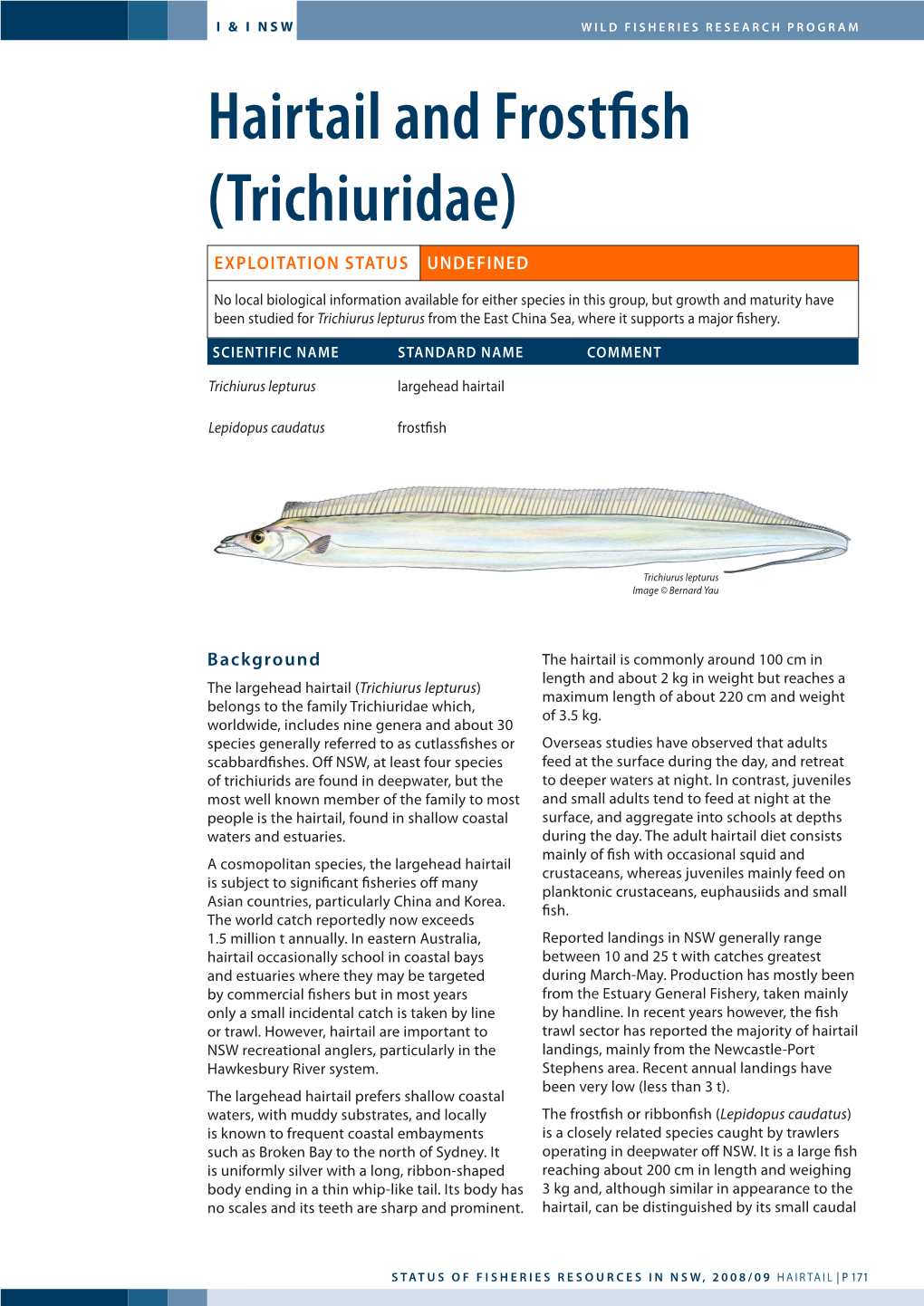 Hairtail and Frostfish (Trichiuridae) Exploitation Status Undefined