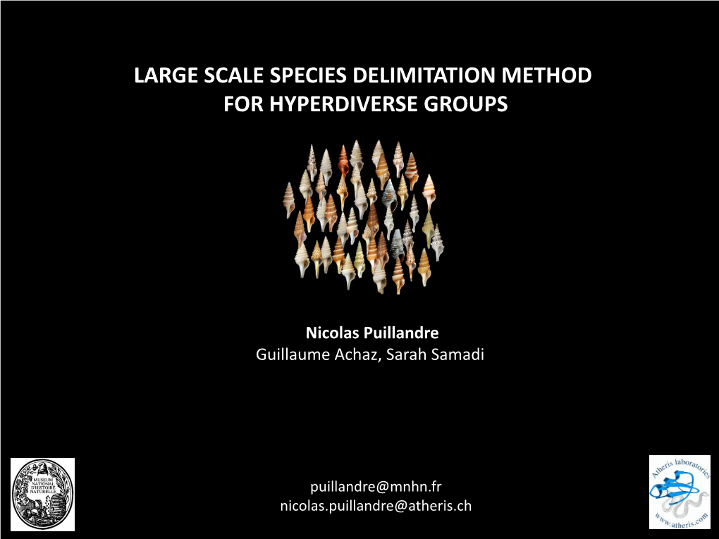 Large Scale Species Delimitation Method for Hyperdiverse Groups