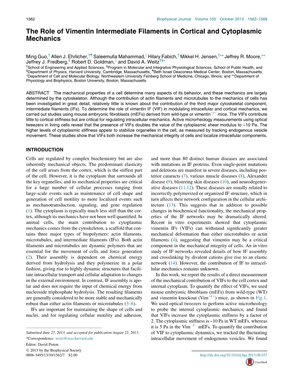 The Role of Vimentin Intermediate Filaments in Cortical and Cytoplasmic Mechanics