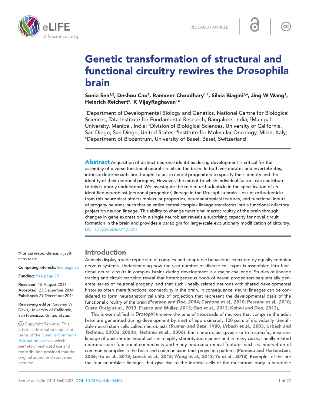Genetic Transformation of Structural and Functional Circuitry Rewires The