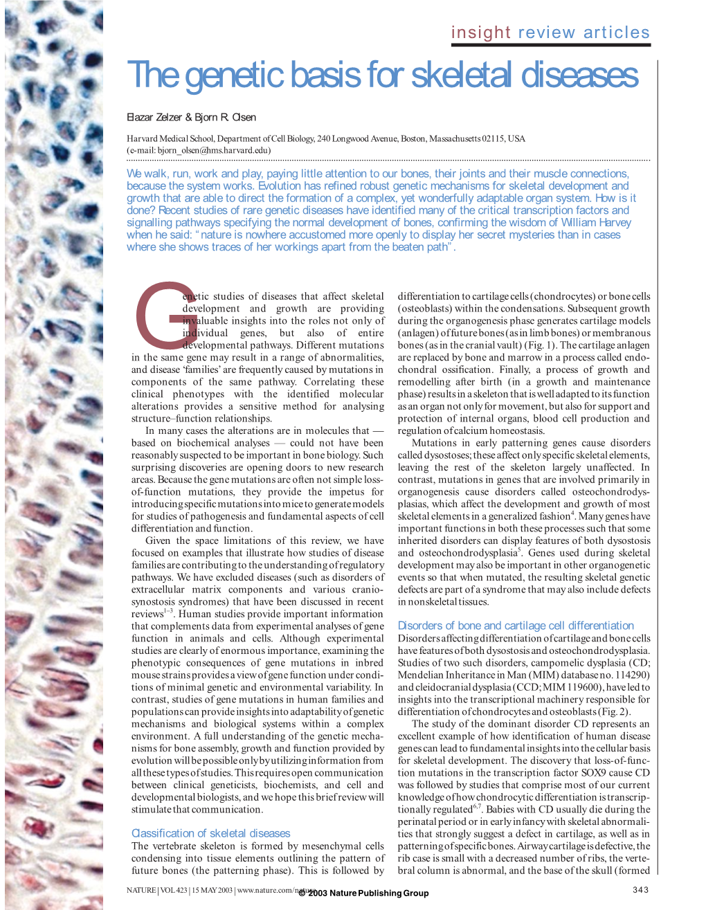 The Genetic Basis for Skeletal Diseases