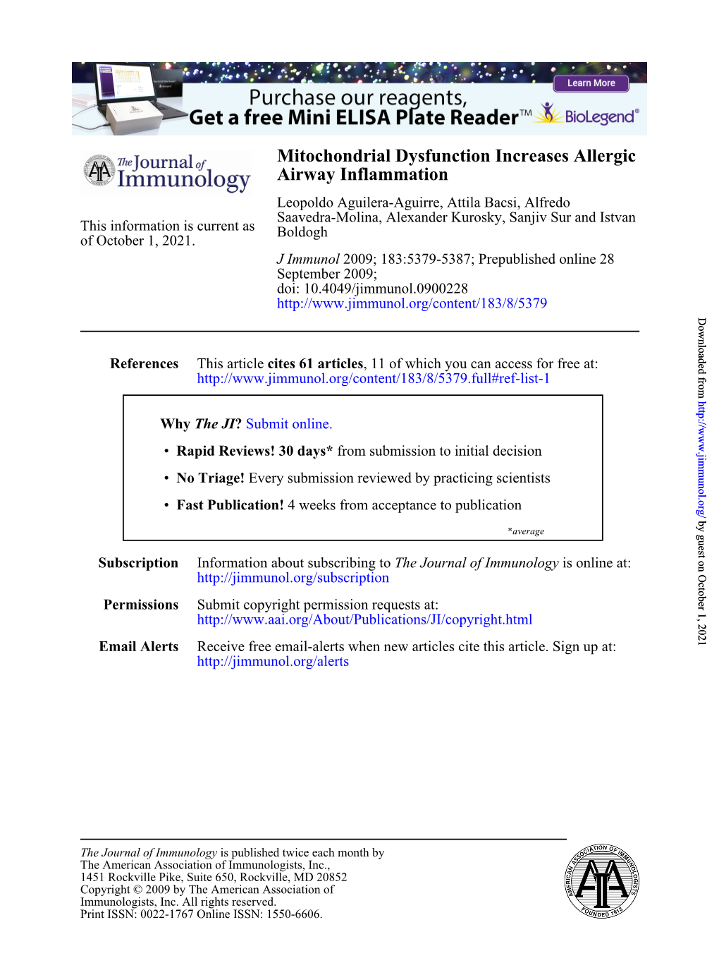 Airway Inflammation Mitochondrial Dysfunction Increases Allergic