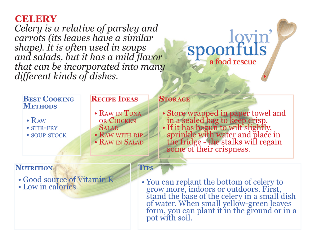 CELERY Celery Is a Relative of Parsley and Carrots (Its Leaves Have a Similar Shape)