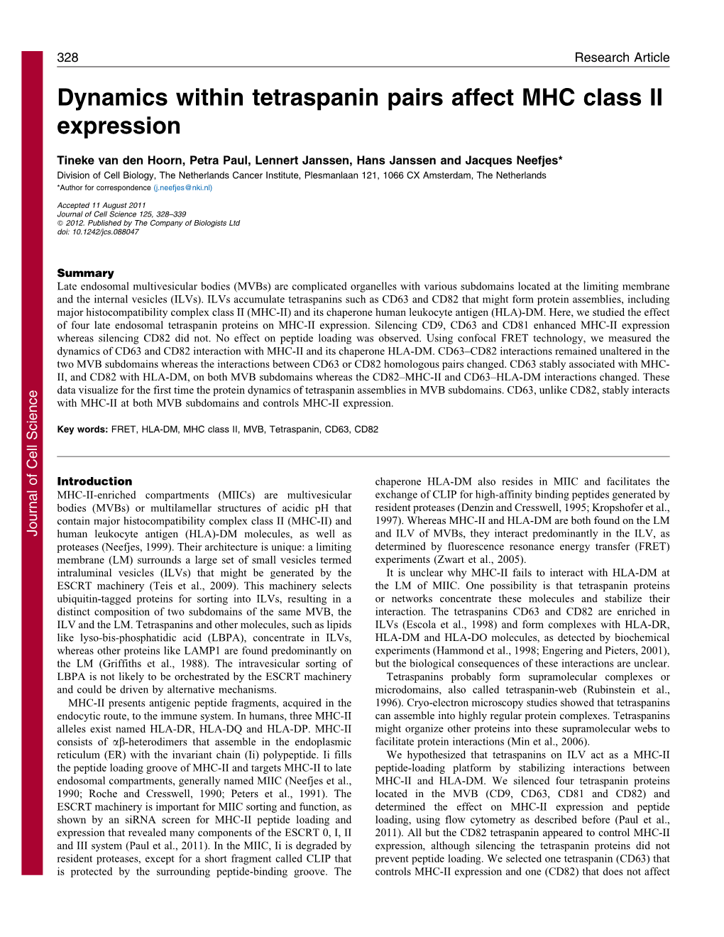 Dynamics Within Tetraspanin Pairs Affect MHC Class II Expression