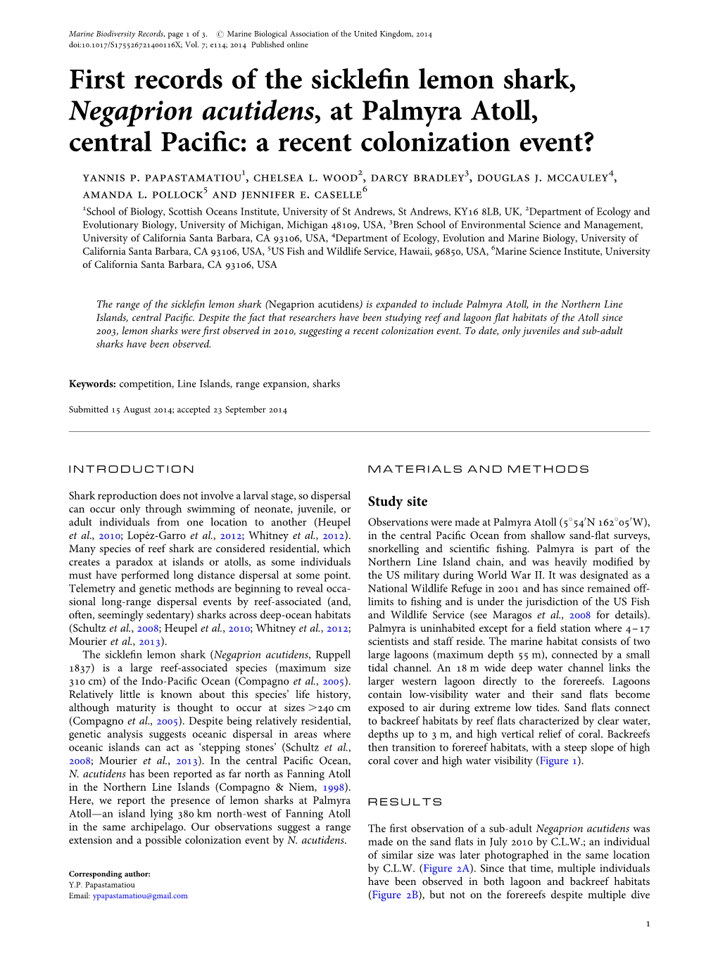 First Records of the Sicklefin Lemon Shark, Negaprion Acutidens, at Palmyra Atoll, Central Pacific