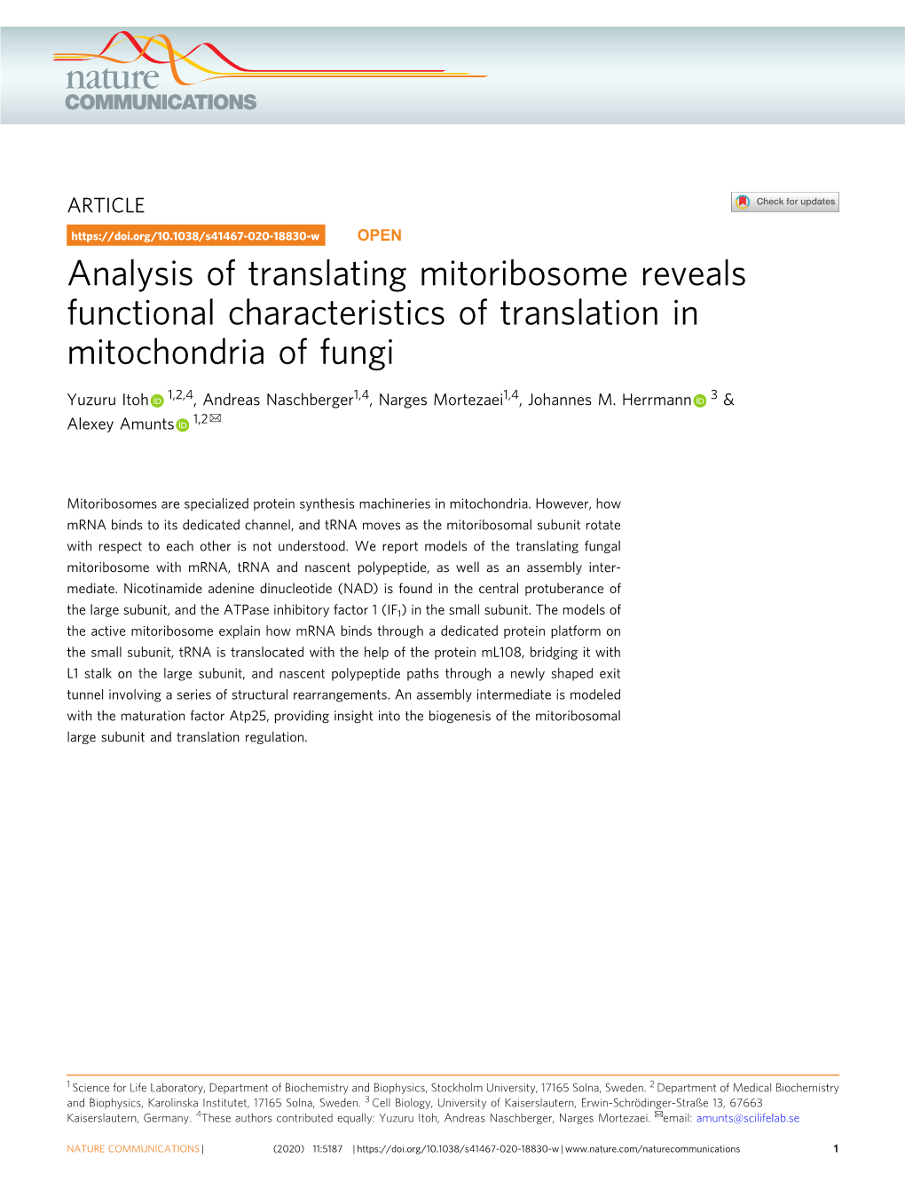 Analysis of Translating Mitoribosome Reveals Functional Characteristics of Translation in Mitochondria of Fungi