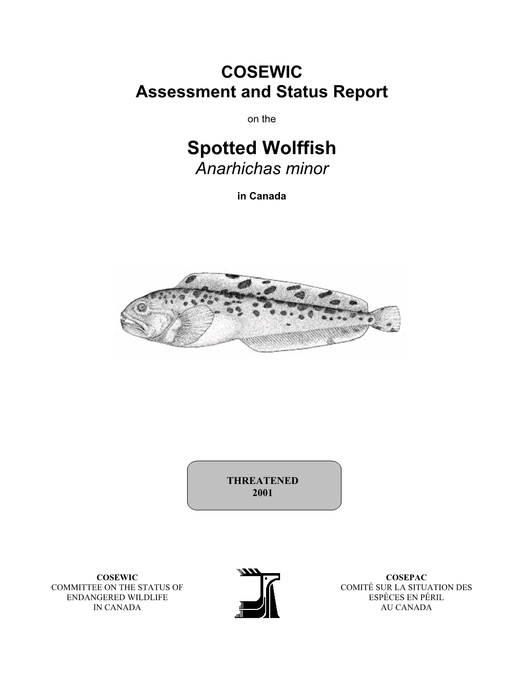 Spotted Wolffish (Anarhichas Minor) in the Northwest Atlantic