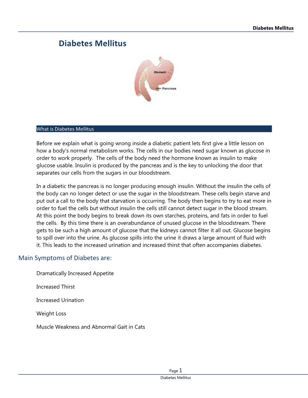 Diabetes Mellitus