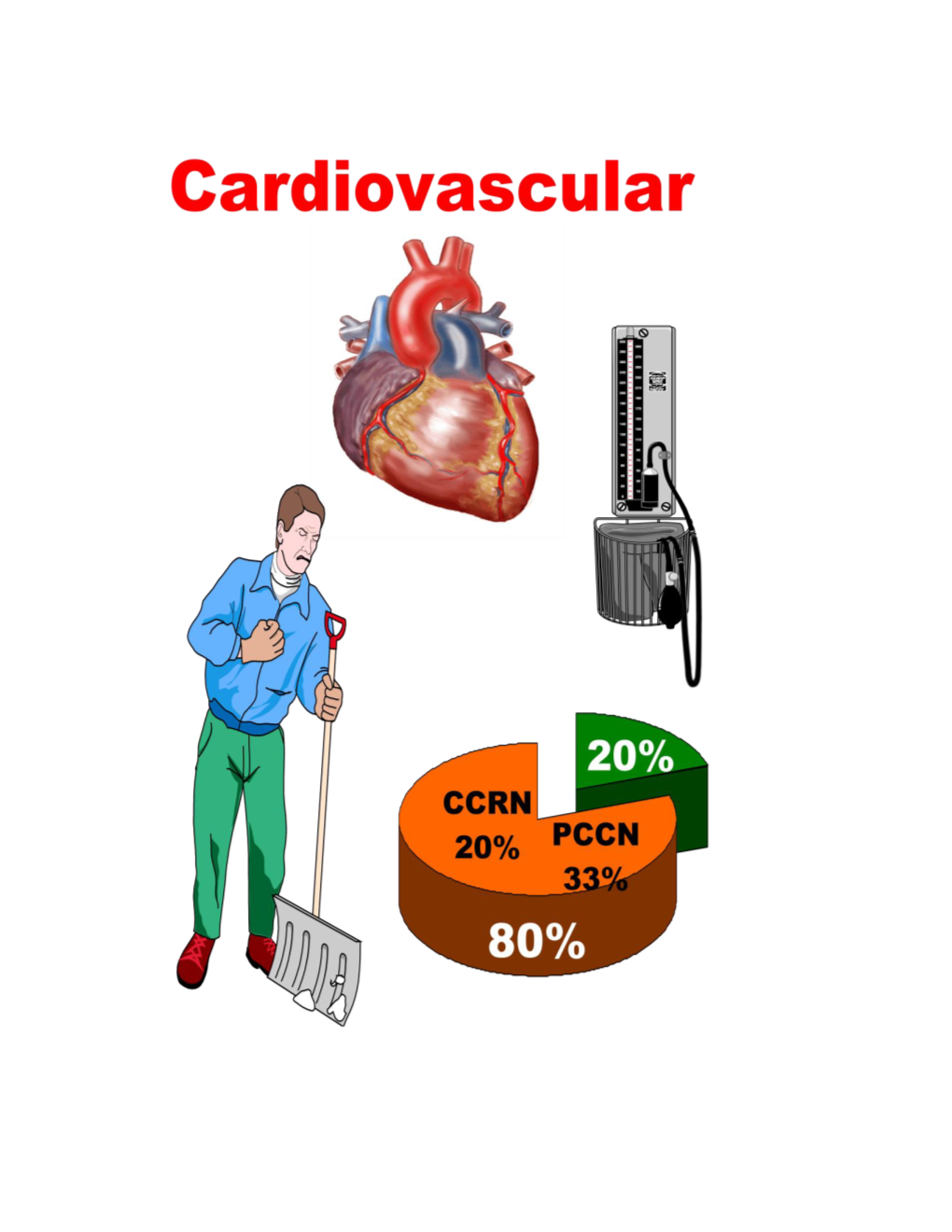 15-Coned-Ccrn-Cardiovascular.Pdf