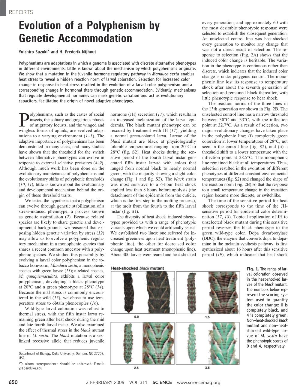 Evolution of a Polyphenism by Genetic Accommodation