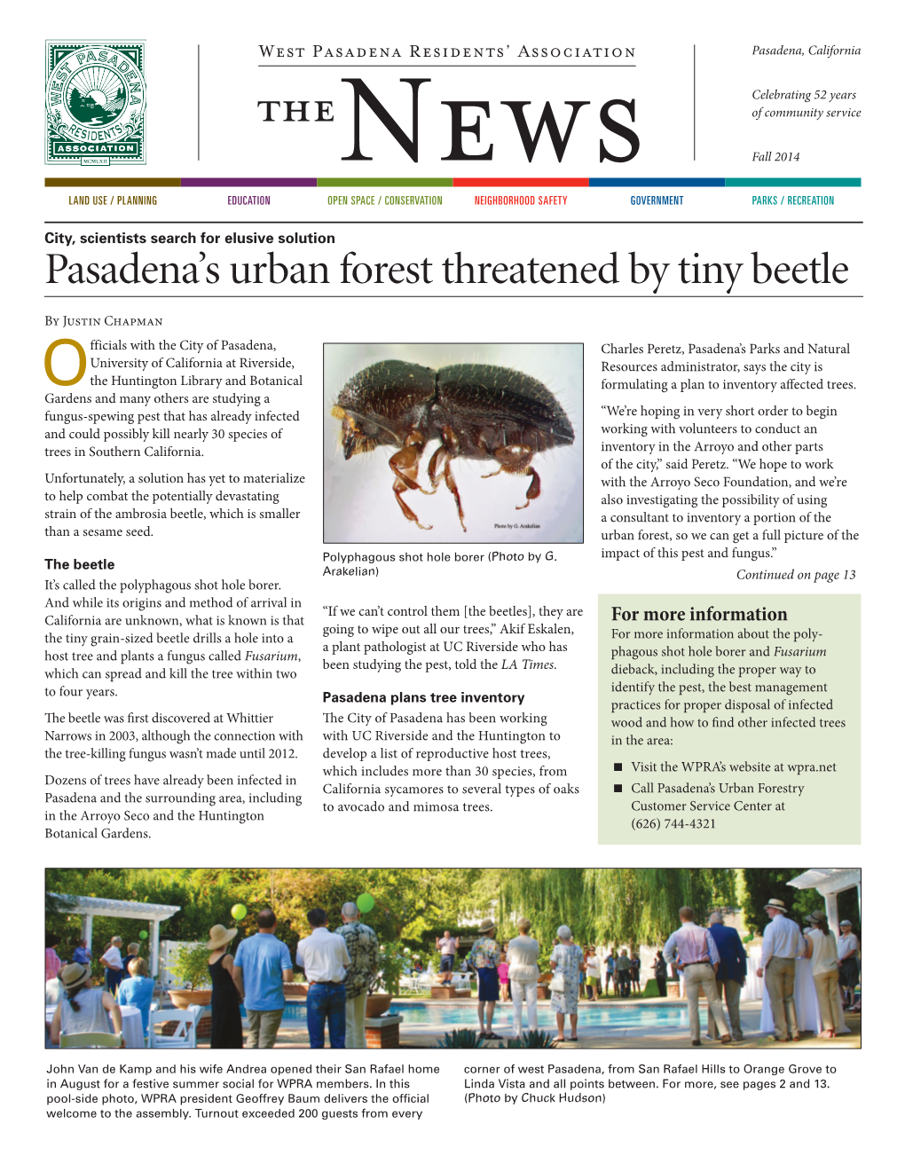 Pasadena's Urban Forest Threatened by Tiny Beetle