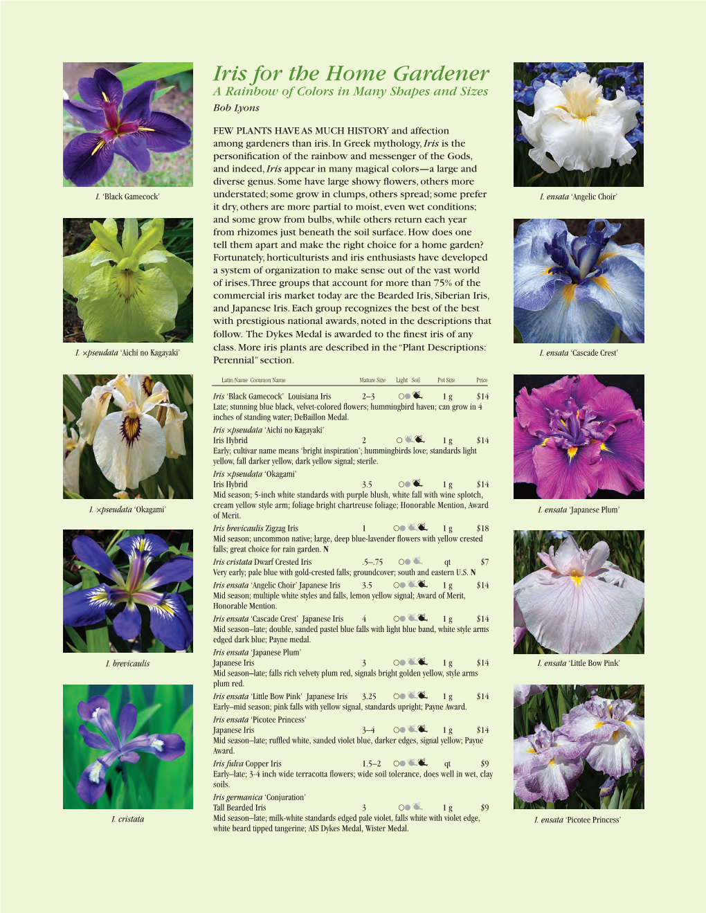 Iris for the Home Gardener a Rainbow of Colors in Many Shapes and Sizes Bob Lyons