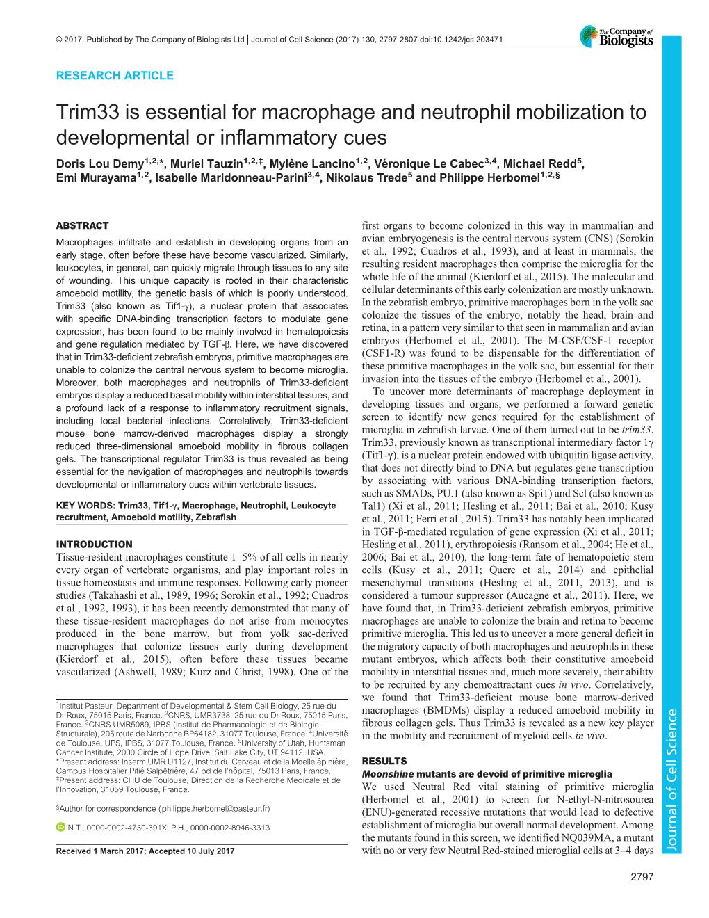 Trim33 Is Essential for Macrophage and Neutrophil Mobilization To