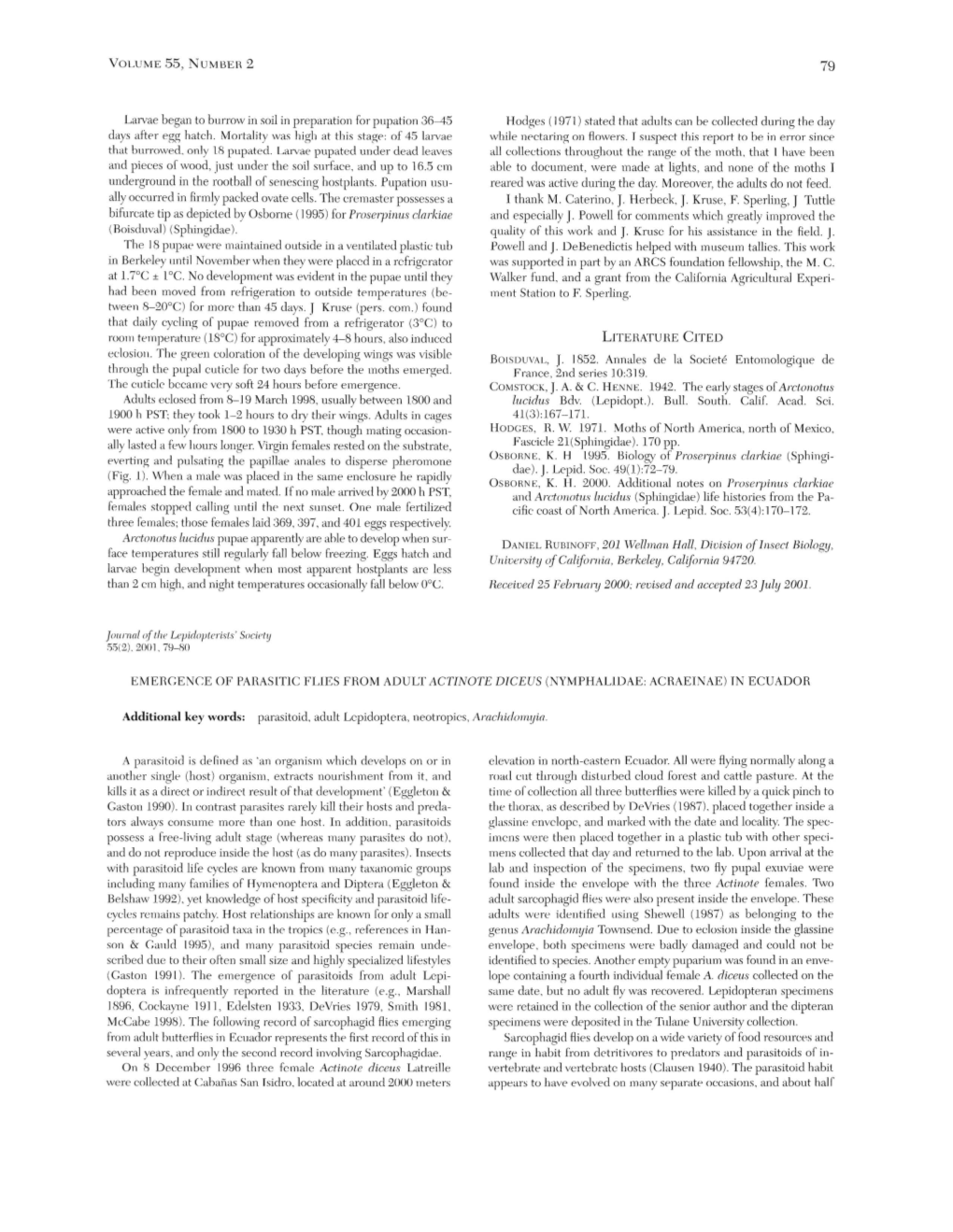 Emergence of Parasitic Flies from Adult Actinote Diceus (Nymphalidae: Acraeinae) in Ecuador