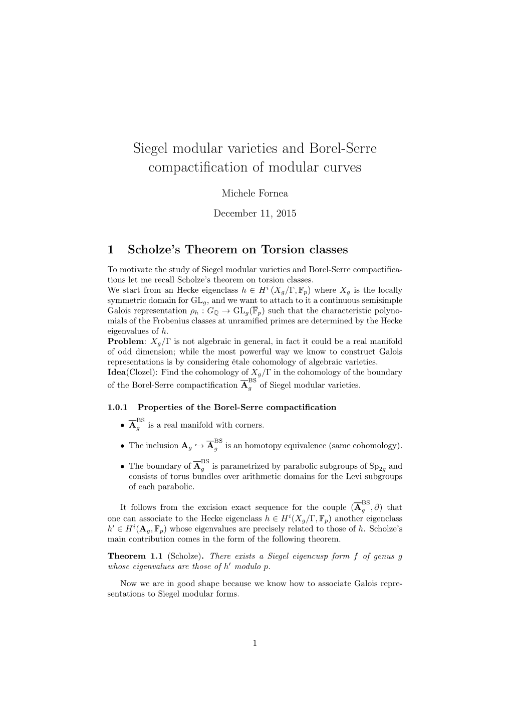 Siegel Modular Varieties and Borel-Serre Compactification of Modular Curves