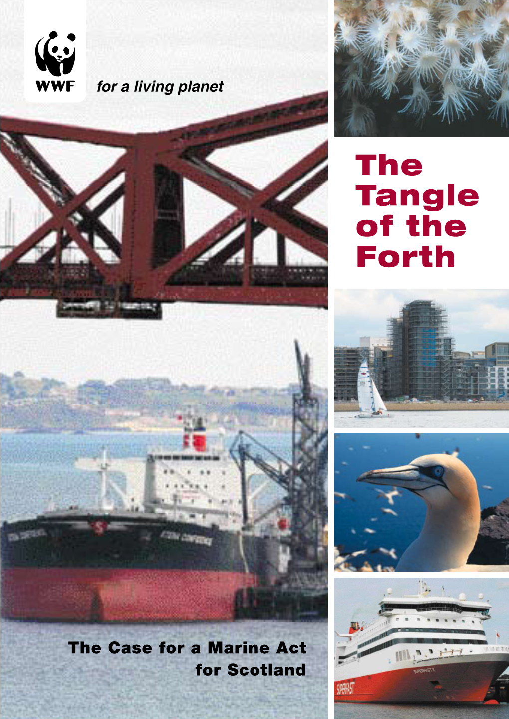 The Case for a Marine Act for Scotland the Tangle of the Forth