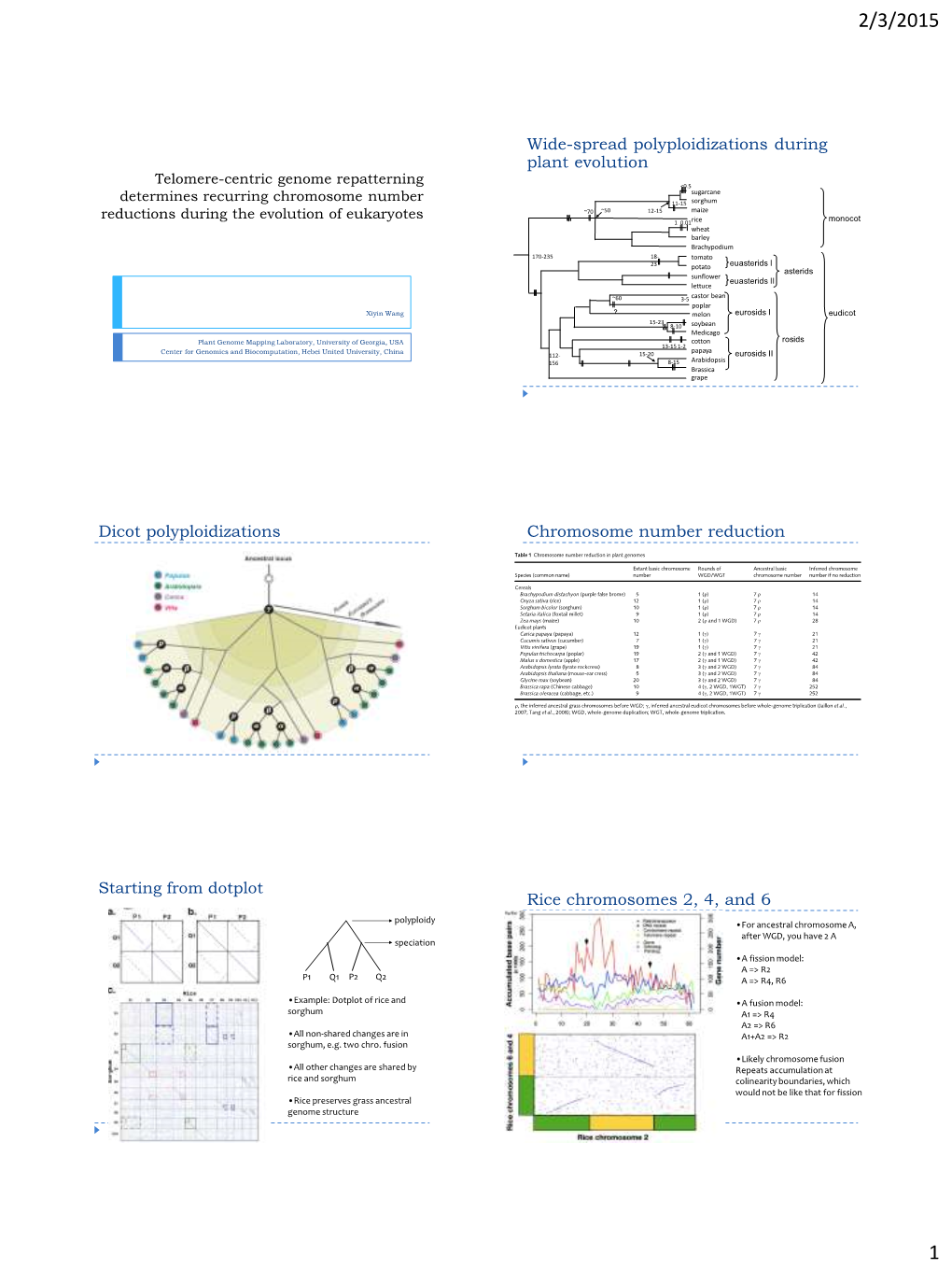 Wide-Spread Polyploidizations During Plant Evolution Dicot