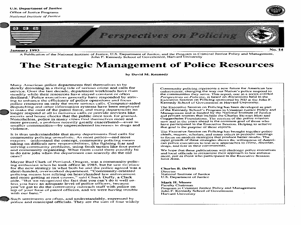 The Strategic Management of Police Resources