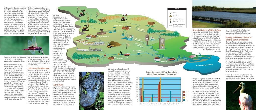 Bastrop Bayou Watershed the Nation’S Leading Rice Ou Can Be Found During Each Season