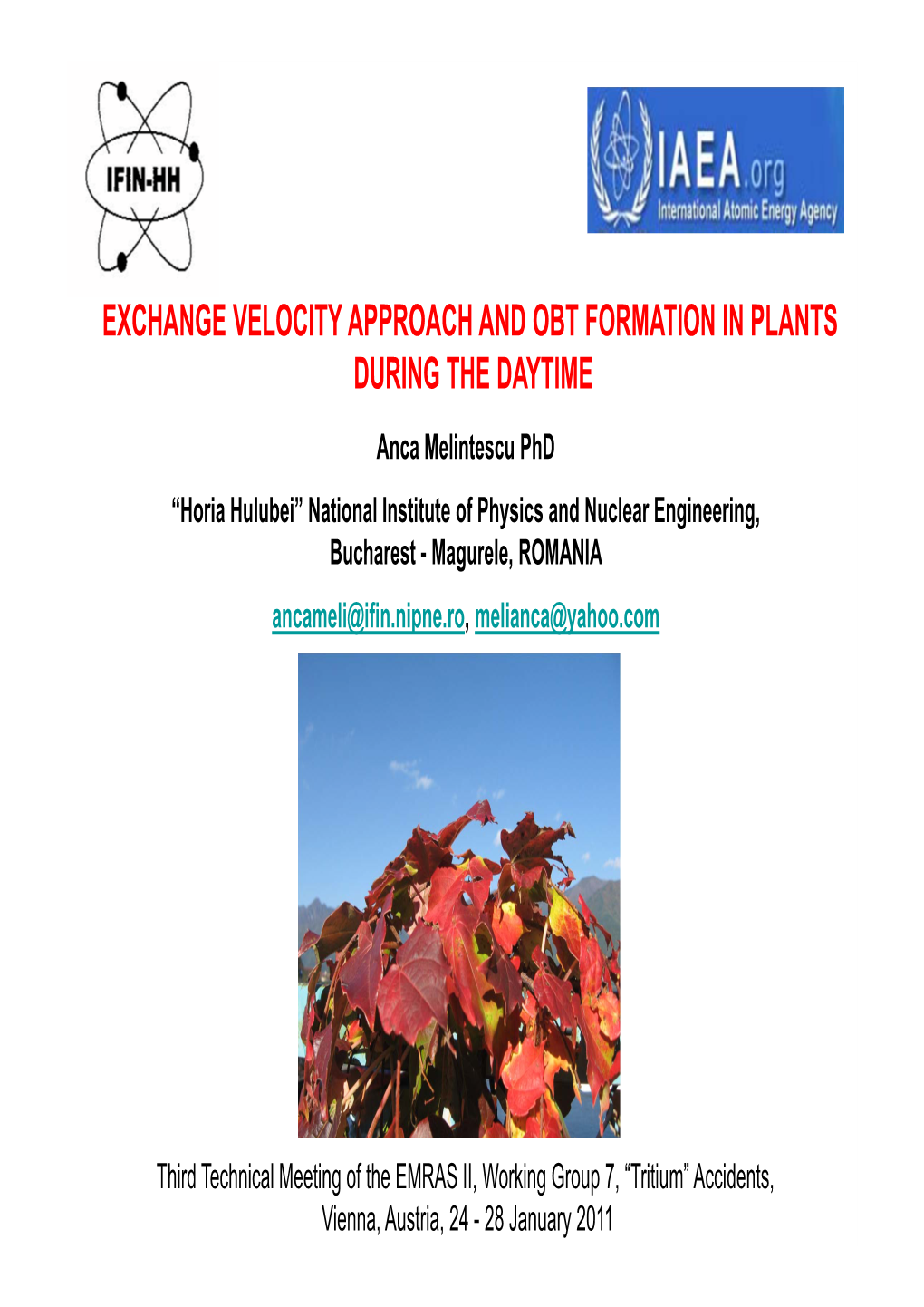 Exchange Velocity Approach and Obt Formation in Plants During the Daytime