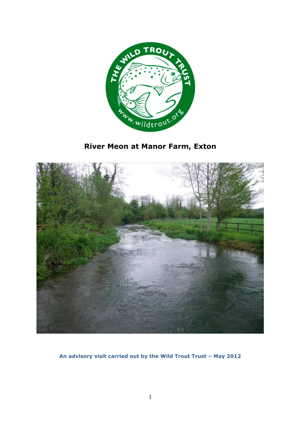 River Meon at Manor Farm, Exton