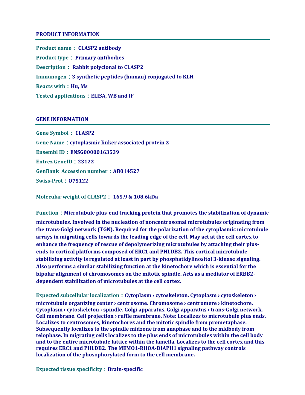 CLASP2 Antibody Product Type