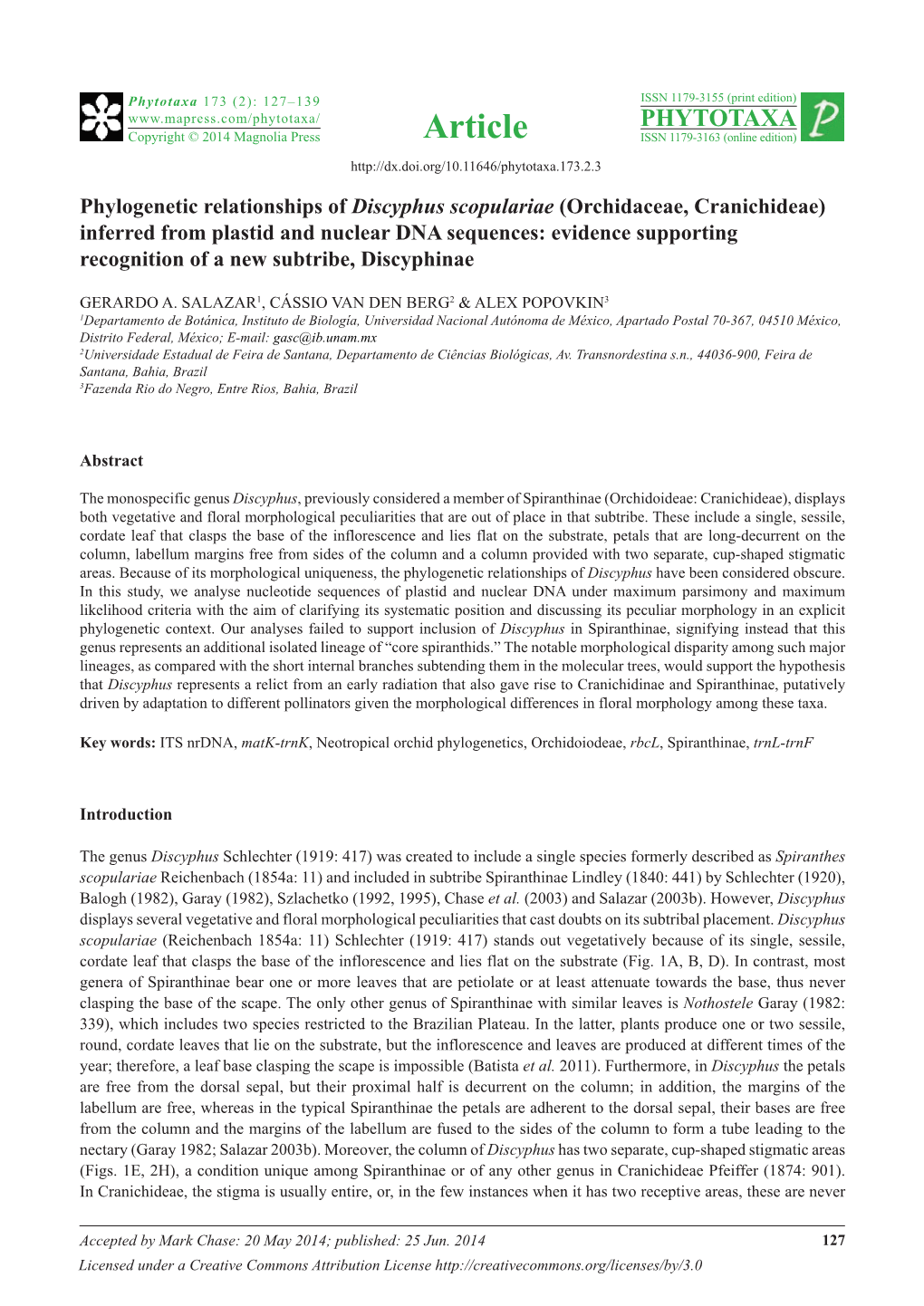 Phylogenetic Relationships of Discyphus Scopulariae