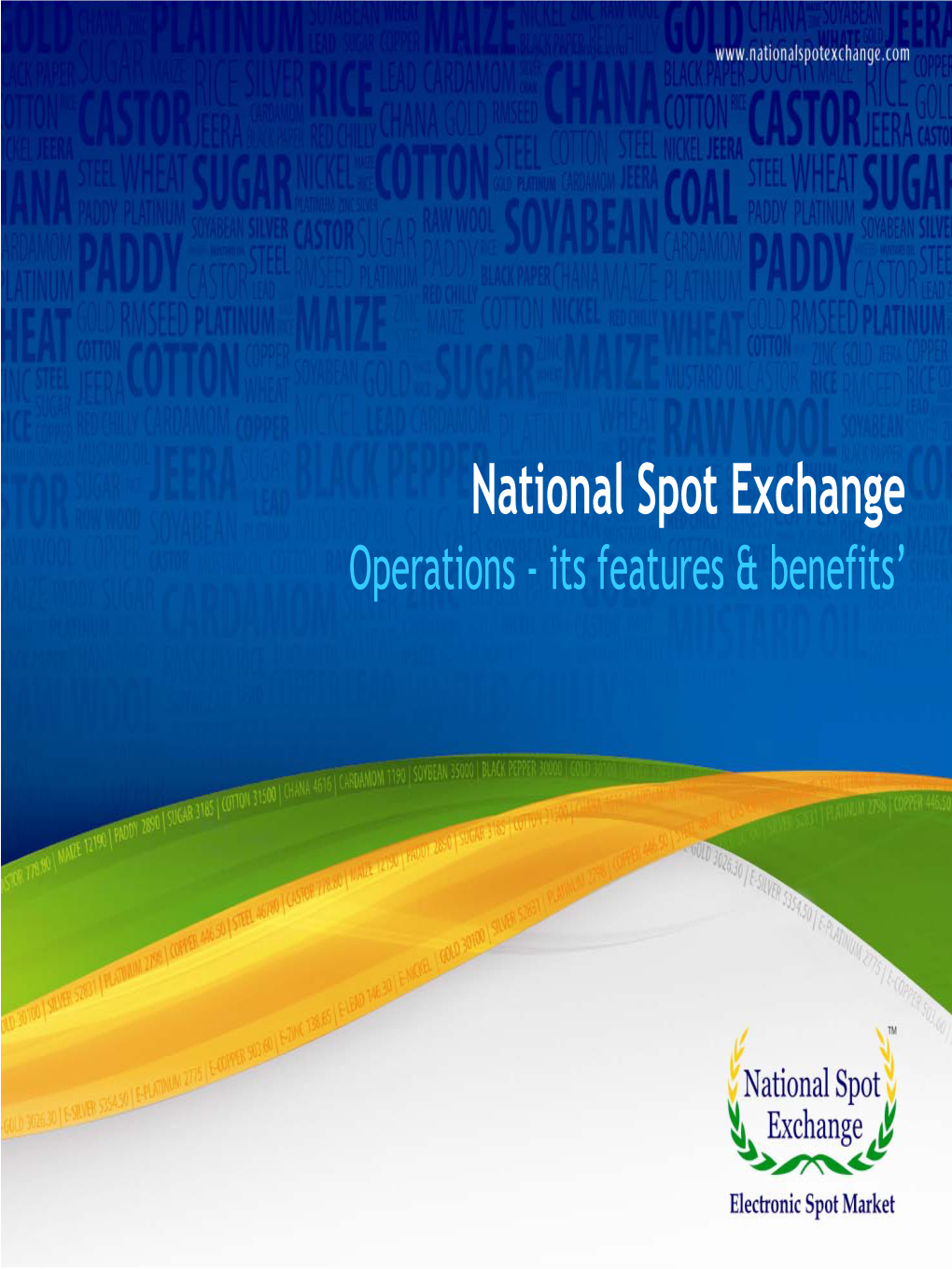 National Spot Exchange: Services
