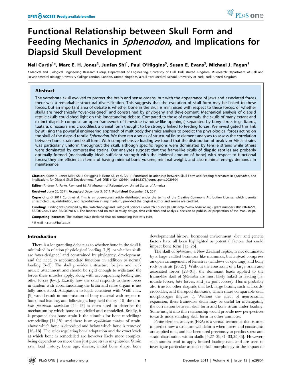 Functional Relationship Between Skull Form and Feeding Mechanics in Sphenodon, and Implications for Diapsid Skull Development