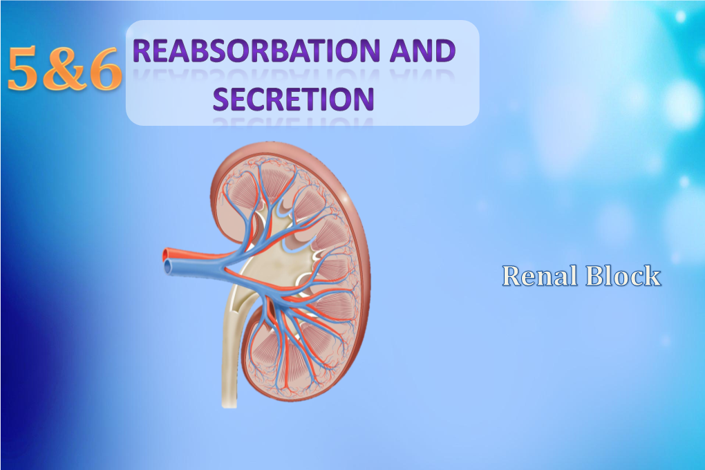 L5 6 -Renal Reabsorbation and Secretation [PDF]