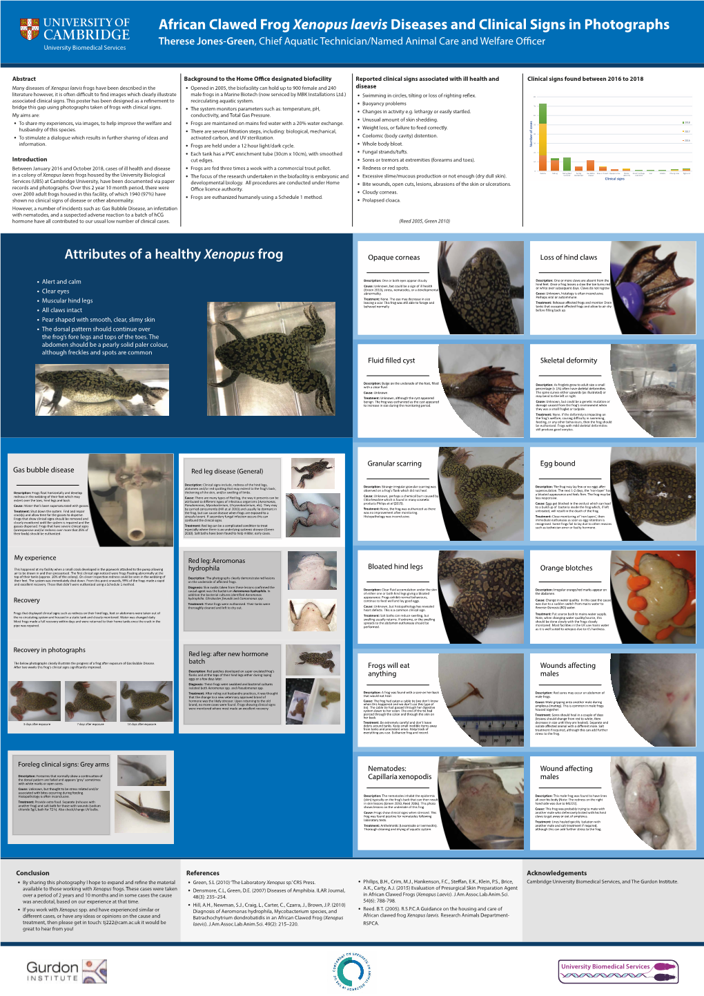 Disease and Clinical Signs Poster