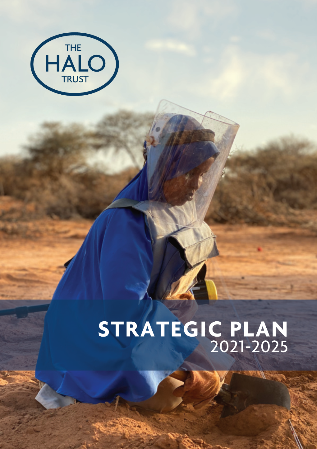 Strategic Plan 2021-2025 Contents