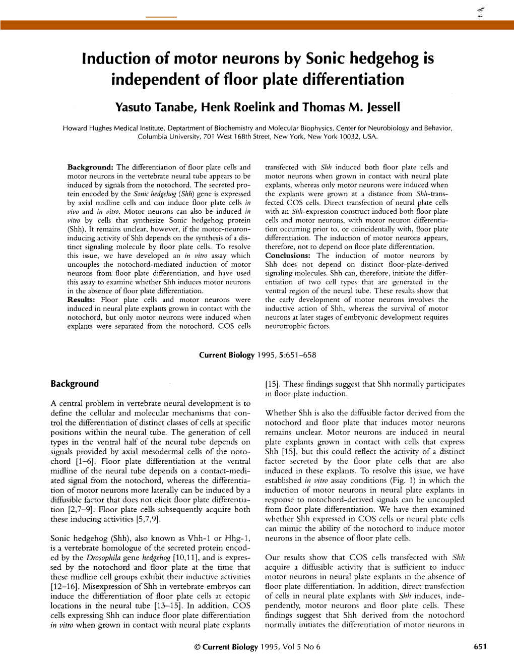 Induction of Motor Neurons by Sonic Hedgehog Is Independent of Floor Plate Differentiation Yasuto Tanabe, Henk Roelink and Thomas M