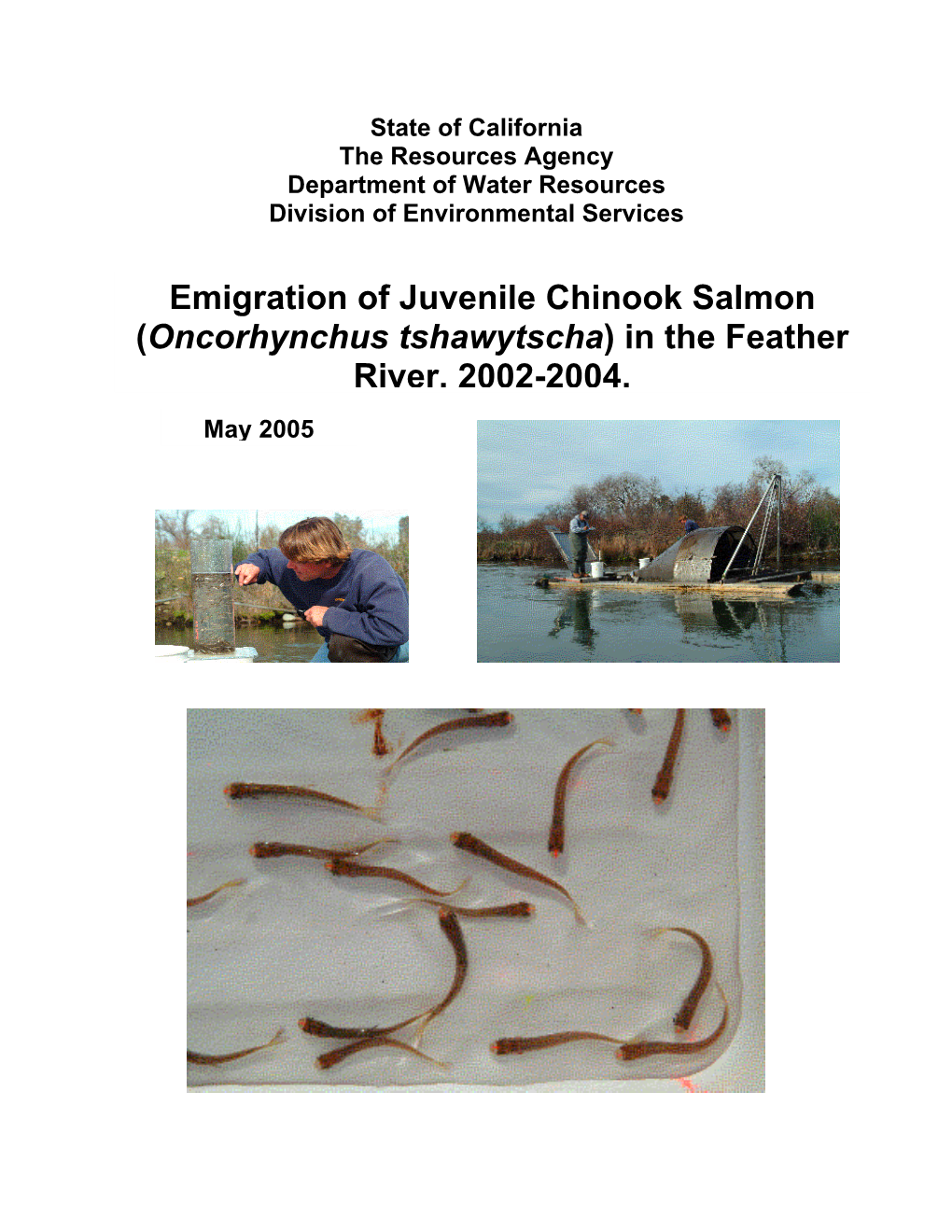 Emigration of Juvenile Chinook Salmon (Oncorhynchus Tshawytscha) in the Feather