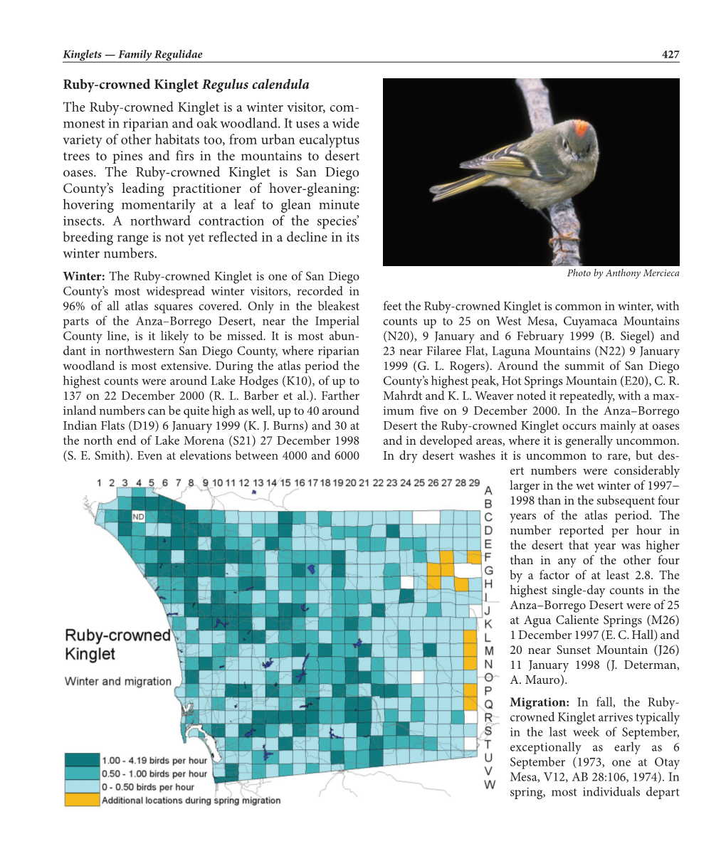 Ruby-Crowned Kinglet Regulus Calendula the Ruby-Crowned Kinglet Is a Winter Visitor, Com- Monest in Riparian and Oak Woodland