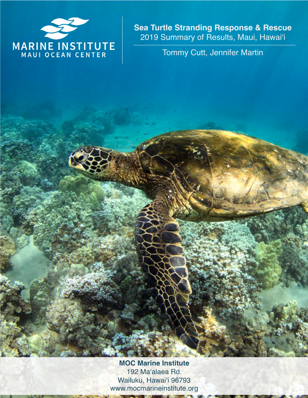 Sea Turtle Stranding Response & Rescue 2019 Summary of Results