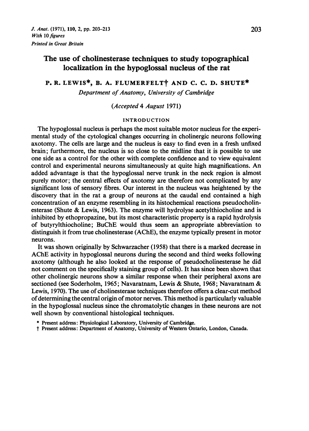 The Use of Cholinesterase Techniques to Study Topographical Localization in the Hypoglossal Nucleus of the Rat