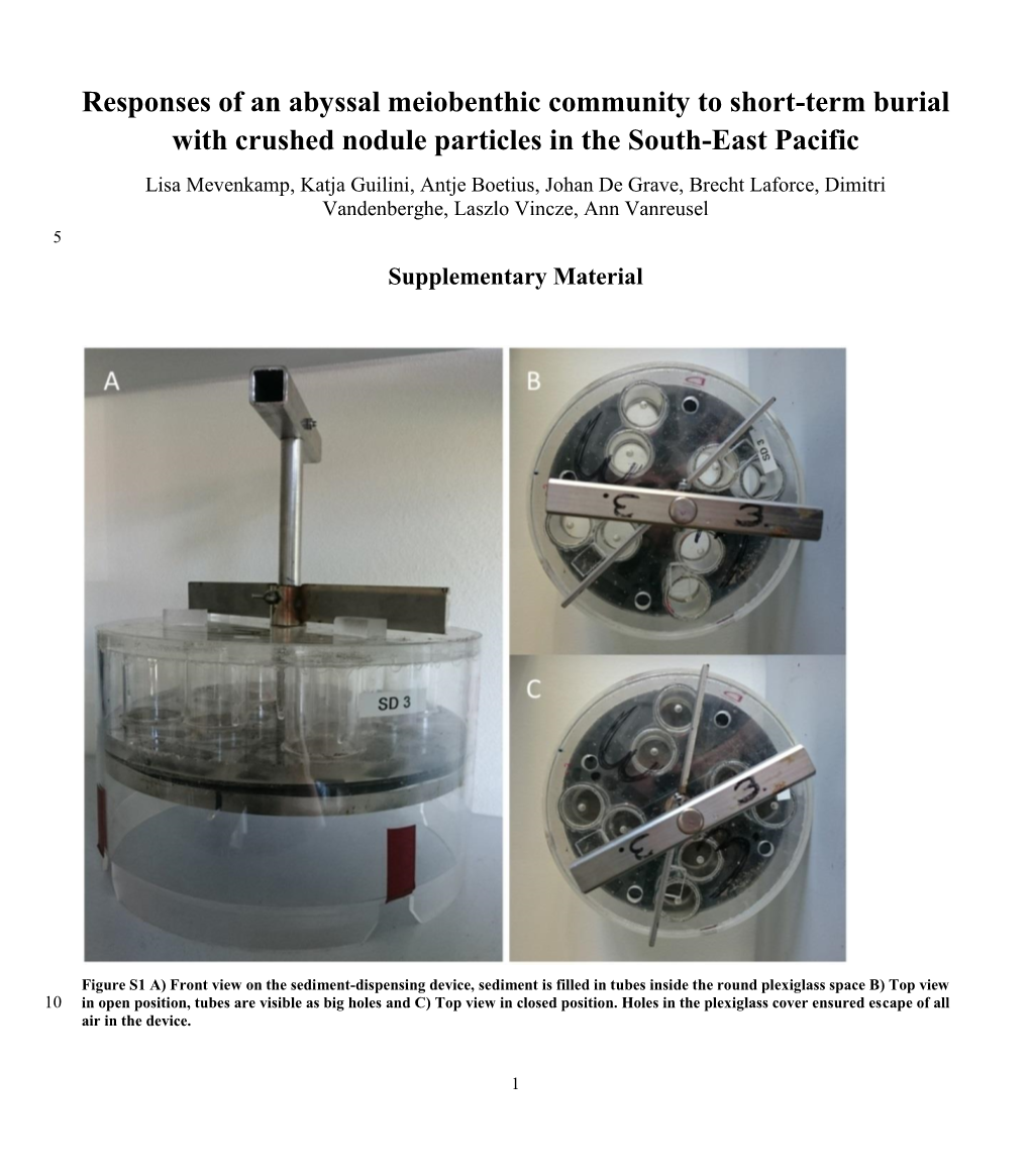 Responses of an Abyssal Meiobenthic Community to Short-Term Burial With