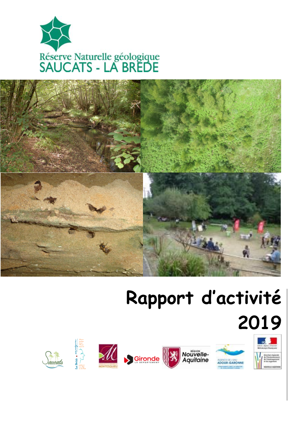 Rapport D'activité De L'année 2019