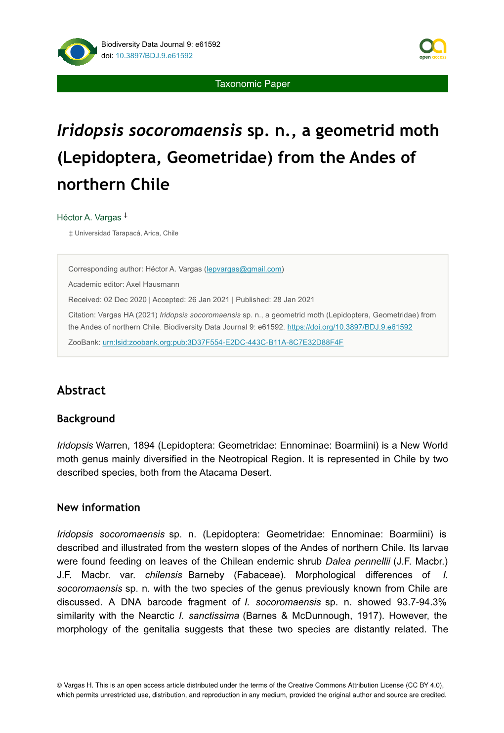 Iridopsis Socoromaensis Sp. N., a Geometrid Moth (Lepidoptera, Geometridae) from the Andes of Northern Chile