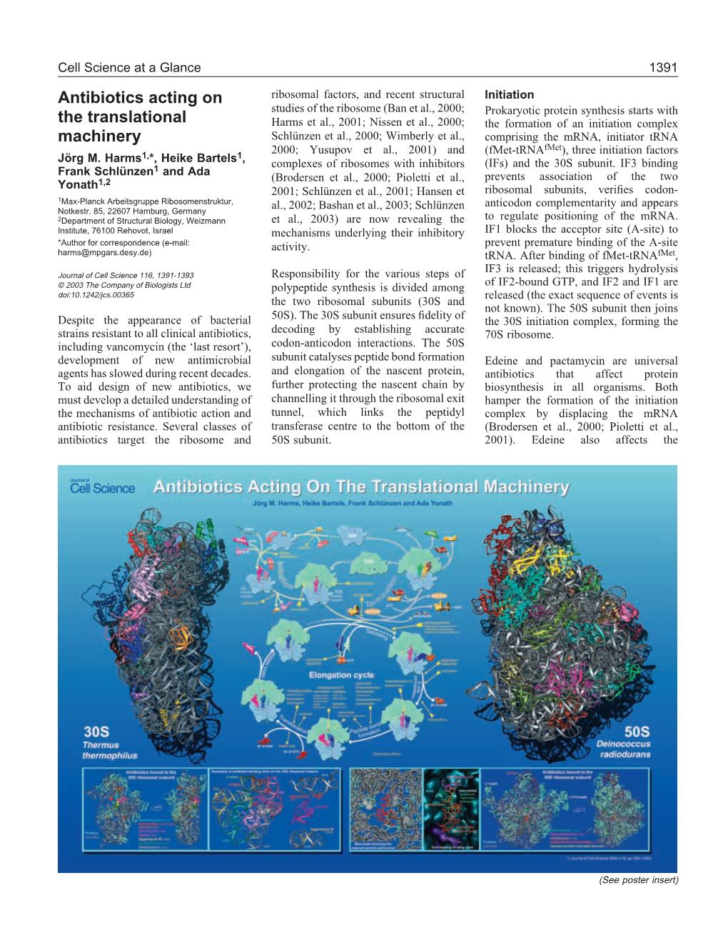 Antibiotics Acting on the Translational Machinery