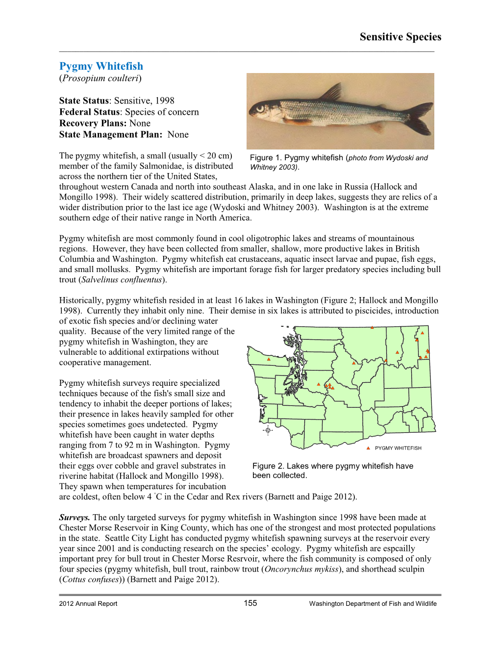 Pygmy Whitefish Fact Sheet