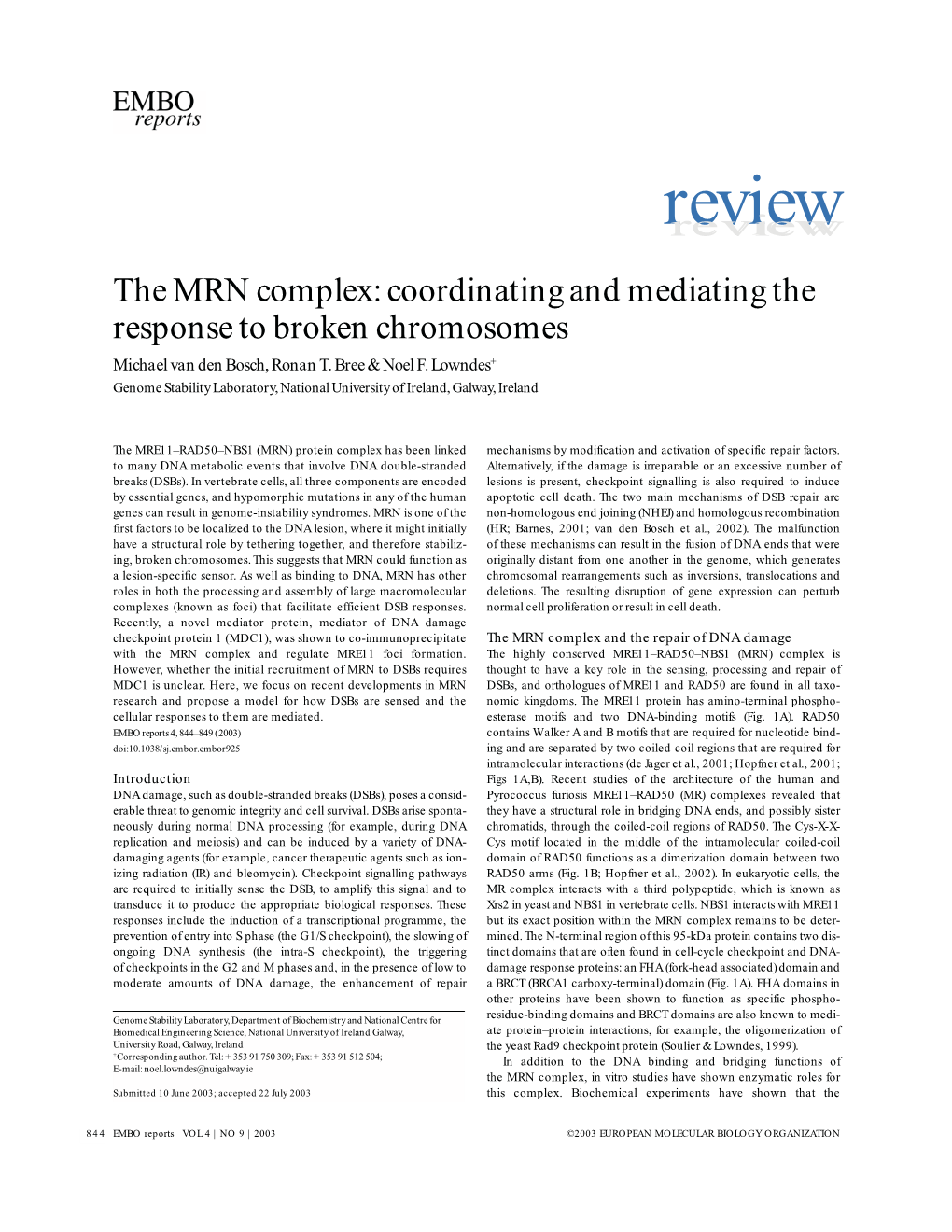 2. the MRN Complex