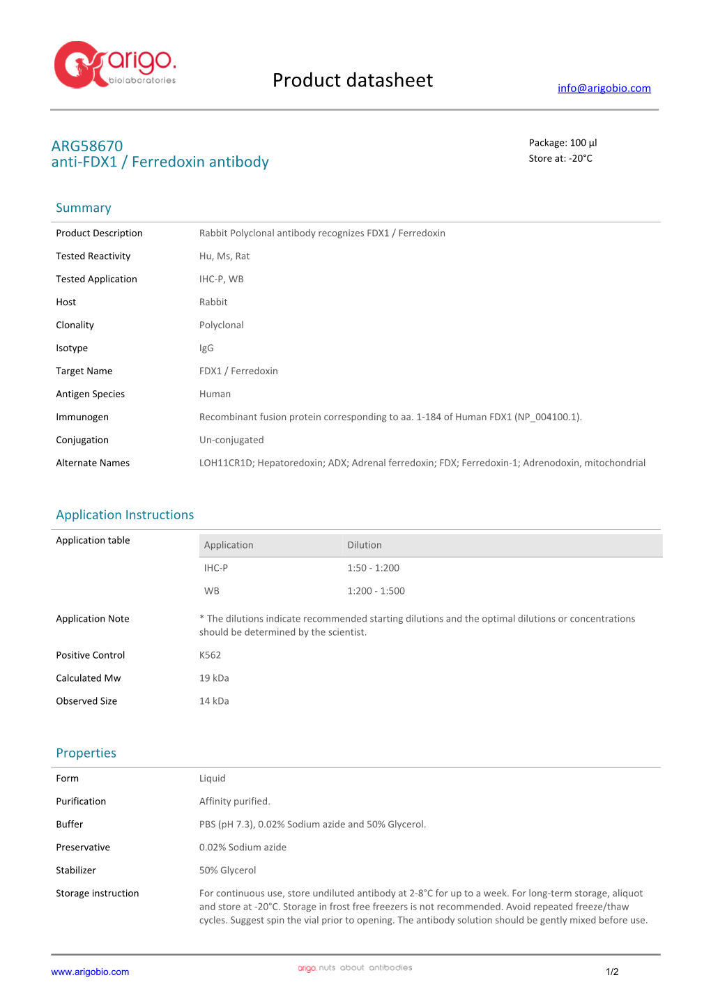 Anti-FDX1 / Ferredoxin Antibody (ARG58670)