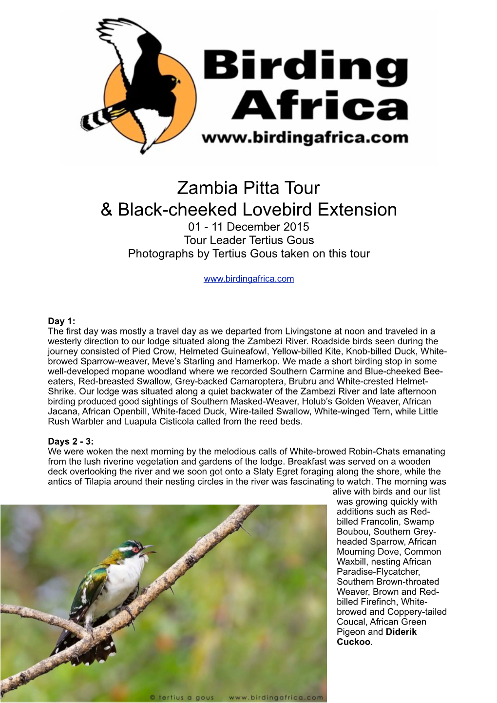 Zambia Pitta Tour & Black-Cheeked Lovebird Extension 01 - 11 December 2015 Tour Leader Tertius Gous Photographs by Tertius Gous Taken on This Tour