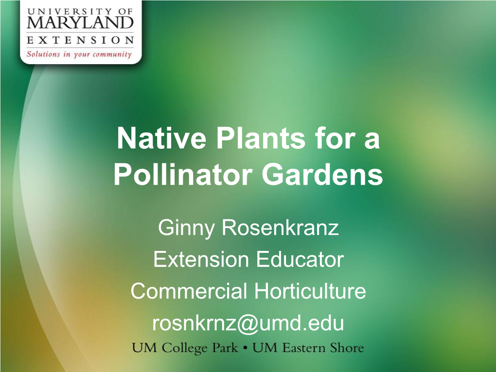 Native Plants for Pollinators