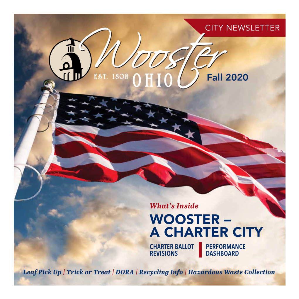 Wooster – a Charter City Charter Ballot Performance Revisions Dashboard